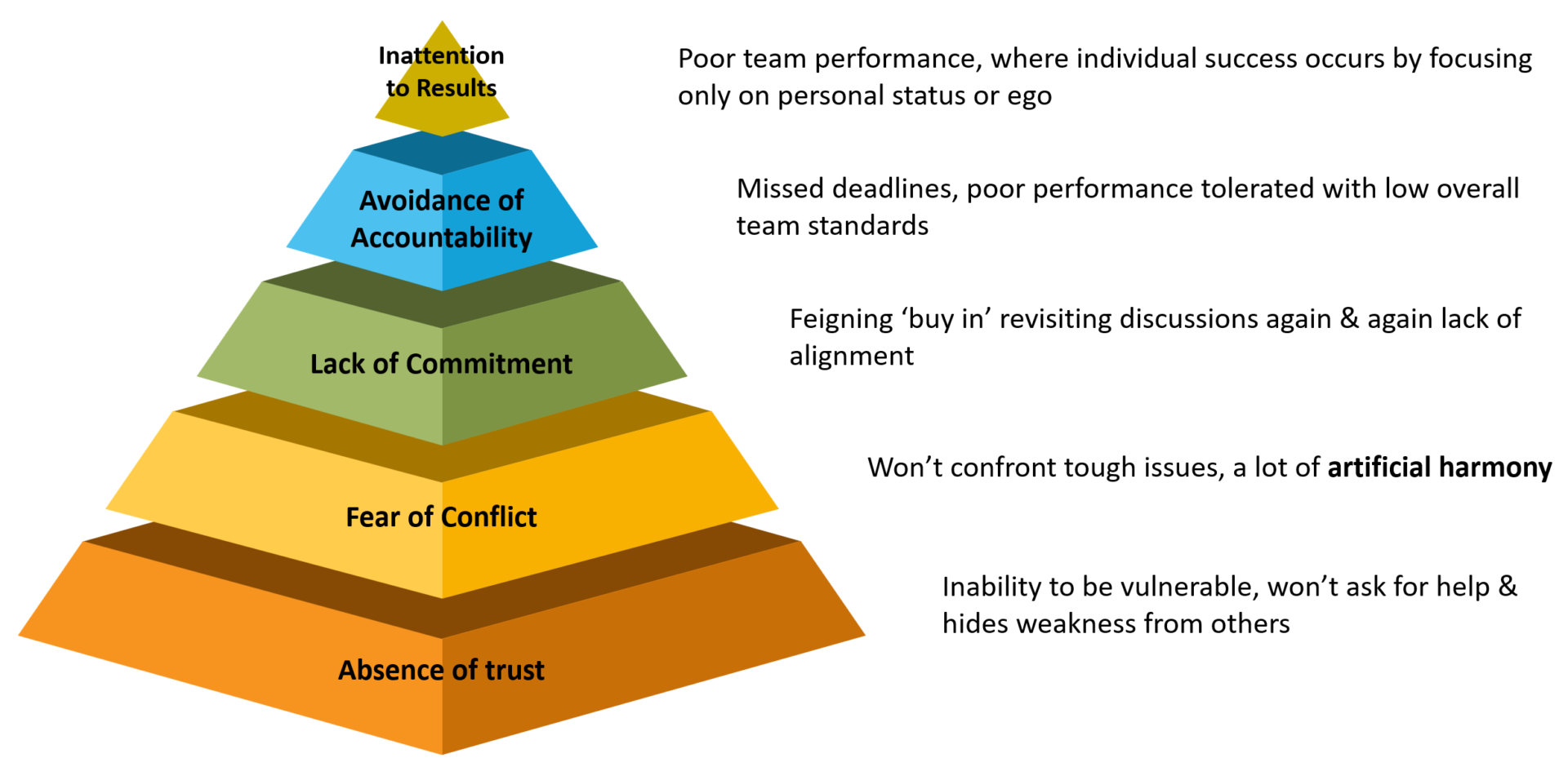 Team model for feedback and performance 