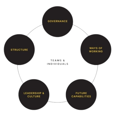 Operating Model Design Course