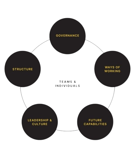 Operating Model Design Course