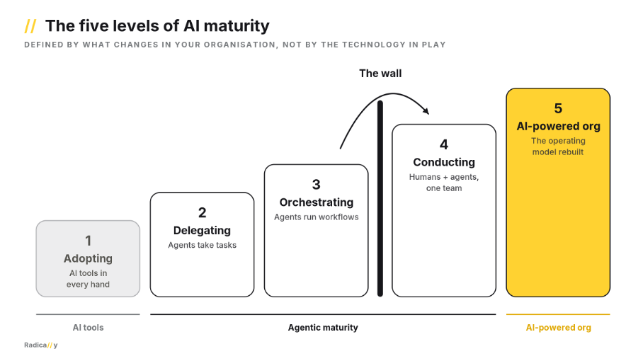 AI levels of maturity - 03 - The five levels and the wall (ladder)